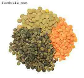 种植扁豆：Masur/Masoor 以盈利为目的的农业业务