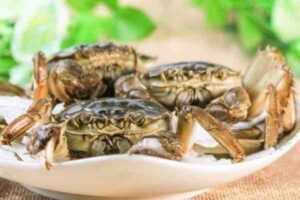 约拿蟹：特征、饮食、繁殖和用途