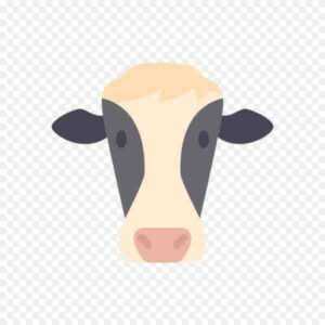 艾尔郡牛：特征、用途、产地和产奶量