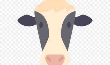艾尔郡牛：特征、用途、产地和产奶量