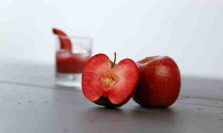 苹果种植：有利可图的苹果生产商业计划