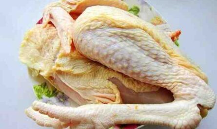 鸡的饮食习惯：母鸡和公鸡吃什么