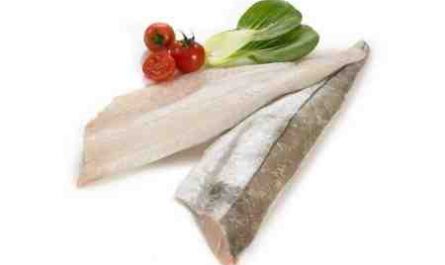 黑线鳕鱼：特征、饮食、繁殖和用途