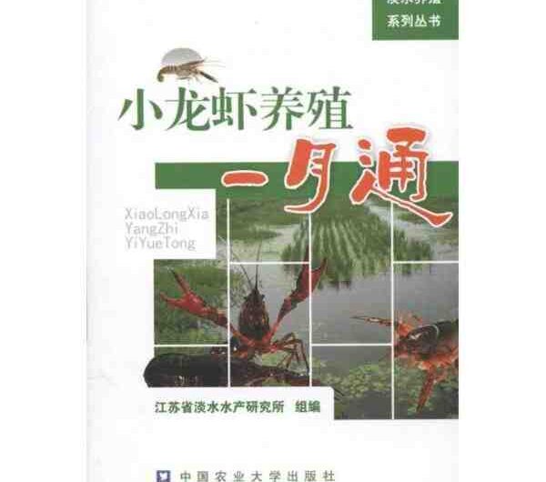 龙虾养殖：初学者创业指南